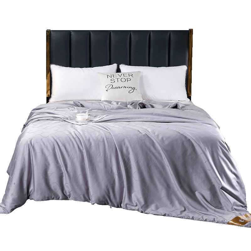 BG54 [Treasure of the Town Store] Spring Shuanggong Cocoon Silk Quilt 100 Mulberry Silk Spring Autumn Quilt Winter Quilt Origin Fortune