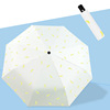 Automatic small handheld umbrella, fully automatic, wholesale, sun protection