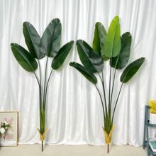 ����ֲ�� ���u�d�ӻ� ����d���~  ��N�GɫС�~�m����b��쾰