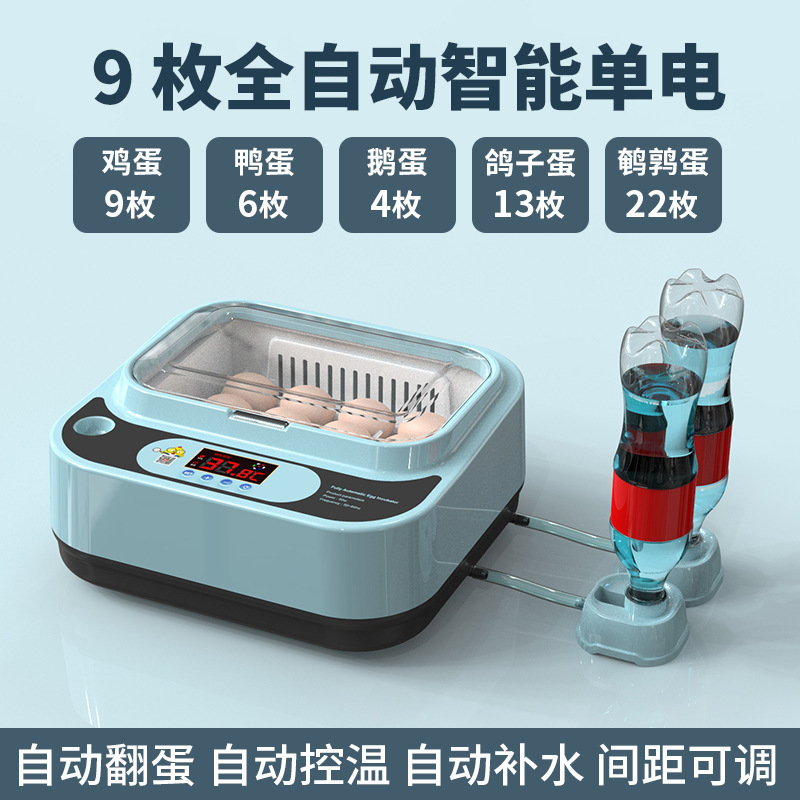 Incubadora, hogar pequeño, incubadora inteligente automática, incubadora, incubadora, loro, huevo de pájaro, pollo, pollo, pollo