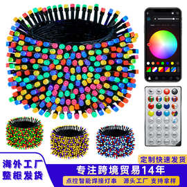 海外工厂定制跨境智能灯串LED点控RGB蓝牙圣诞树装饰灯串APP遥控