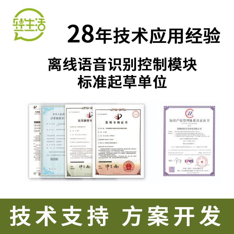 경량 오프라인 ASR 음성 인식 제어 모듈 IC, 스마트 홈 음성 인식 개발 보드, 항목 맞춤 설정