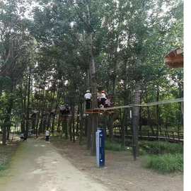 梦之龙户外农庄设计丛林穿越图片高空丛林穿越游乐项目