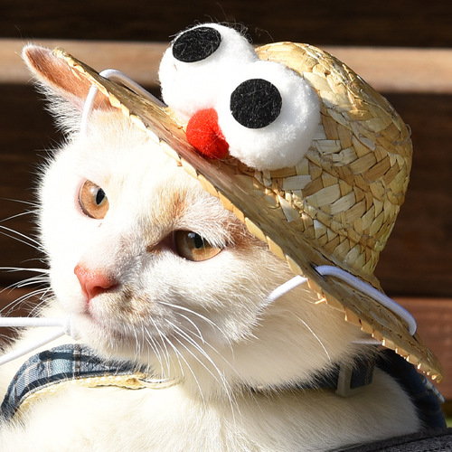 Pet Grass Hat Bamboo Dragonfly Summer Weaving Cartoon Cute Puppy Hat for Small Dogs Universal Pet Grass Hat