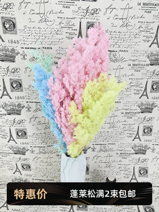 ��������ɫ���R��100�˷��滨diy�ɻ��b����r�����l���ϻ���