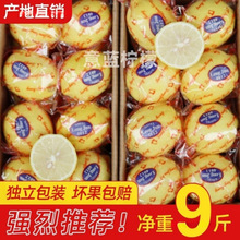 �����S���ʽ����r�r����Ƥ���l�a���̲��ե֭���uצһ�����]�}