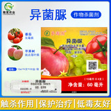 Соединенные Штаты Фамеи, развевающиеся бактерии гипер -бактерии, томатная серая плесень эппил -пуротика пентауэй -пестицид -бактербиногенные 15 мл