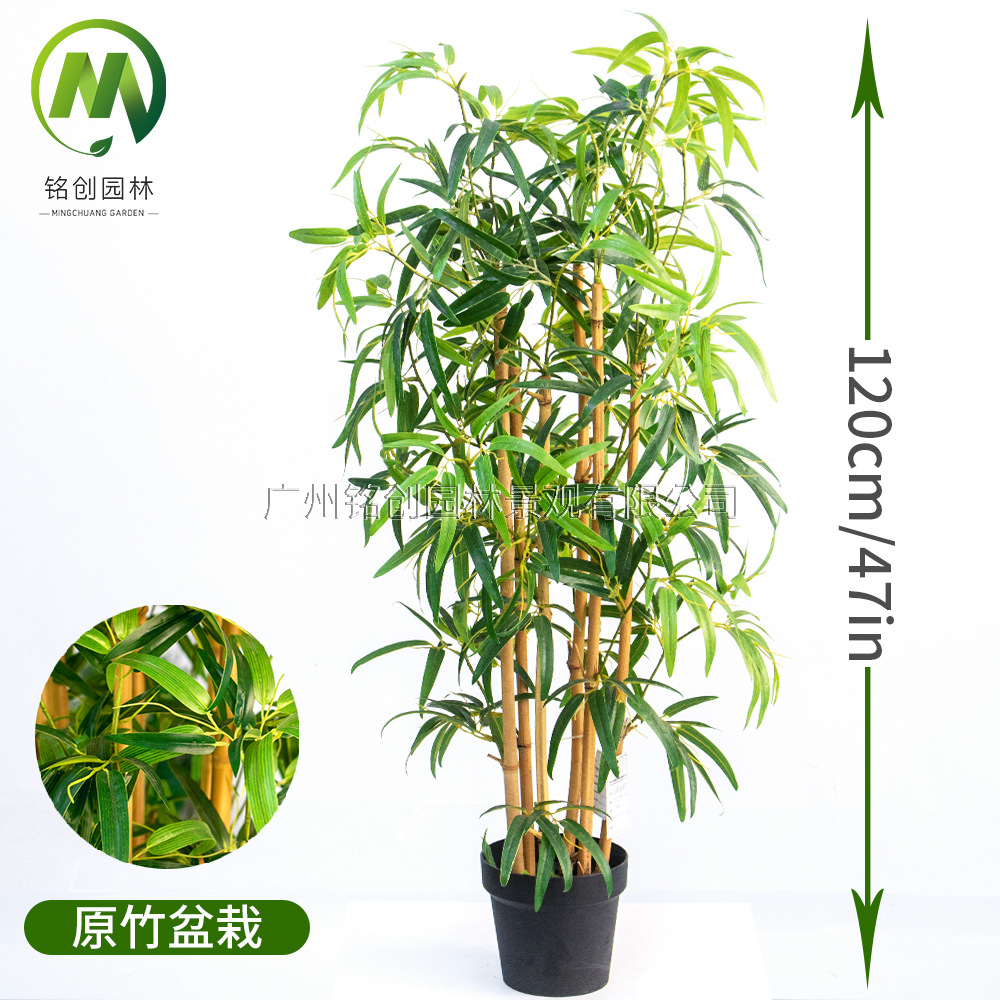 Simulación de plantas verdes y paisajismo Bambú falso Simulación de plantas en macetas Simulación de plantas verdes falsas Paisajes Bambú Bonsai
