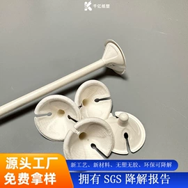 纸浆模塑;纸盒;其他纸类包装