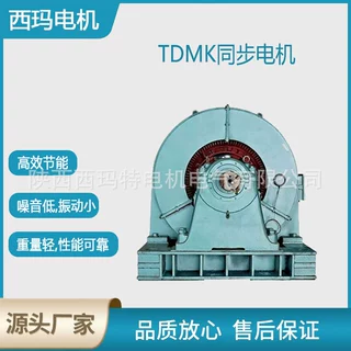 西安西玛电机TDMK1400-40/3250 1400KW 150R 6KV三相同步电动机厂