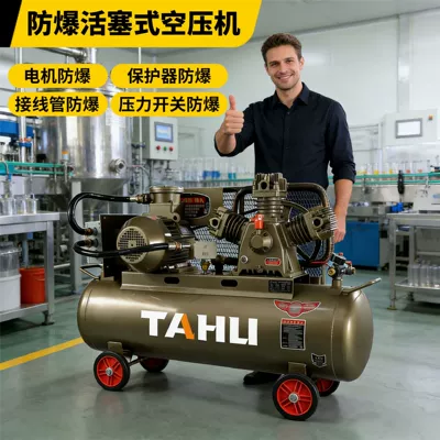 Tahu Explosion-Proof Piston Air Compressor for Chemical Dust, Oil Stations, Oil Fields, Air Compressor Pump Bt4 with Certificate