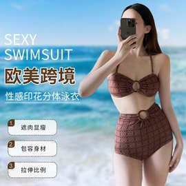 小众复古民族风印花比基尼女士时尚潮流高腰遮肚性感小胸显瘦泳装