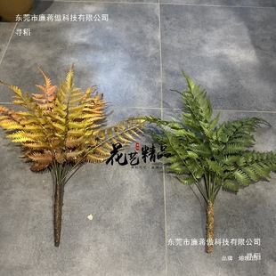 廨쾰ݵزާֲﱻXGֲ辰ާާPβާ˹ëԔ