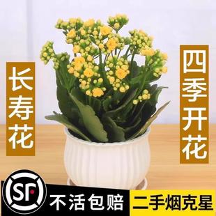 �L�ۻ������ذ�󻨻���ֲ���҃��ļ��_��������B�Ļ��ܴ�ȫ�ջ�