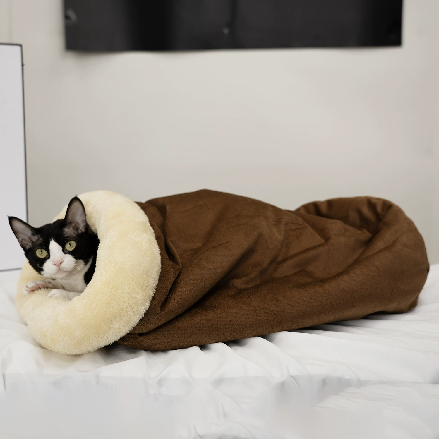 Кошачья нора и сумка для кошки, зимний теплый мешок для питомца, осенне-зимовая лежанка для собаки, универсальная кошачья нора для всех сезонов, закрытая кошачья нора для кошек и щенков