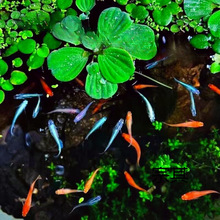 �^�����F�~����ϲ������^�p�~ С���\��С�~�����B���B�~