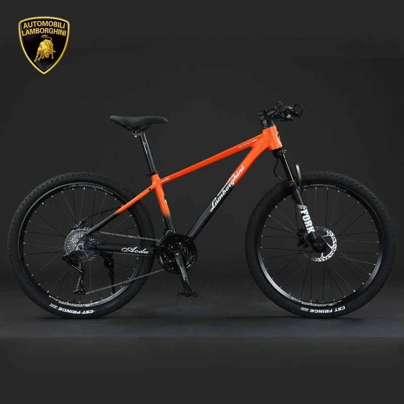 Lamborghini, mountain bike for elementary school students, Italy, official product, for teenagers