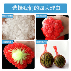 5YA1 wholesale soft-shell turtle packaging mesh bag wholesale wholesale extra thick plastic mesh bag greenhouse hanging melon mesh bag weaving hand