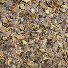 �o�Ǽt��ƤƬ500�˴�Ƭ�������|�� �S��ֱ��