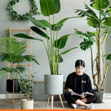 �Gֲ�٘������B������ֲ�����Ԕ[���p���҃ȿ͏d�b��쾰