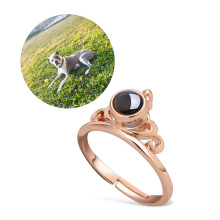 �羳�W���ʹ��_�ڽ�ָ����Ƭ���ֶ� ��ͶӰ�ͼ�ͥ�ɆT�Y���@ϲ