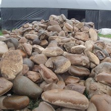 园林景观石  鹅卵石  溪坑石  河岸石 黄色鹅卵石 上海鹅卵石