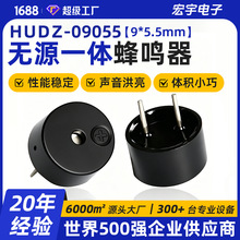 ��Դһ�������9055WT03 9*5.5MM�����͸���16ŷƵ��2700HZ