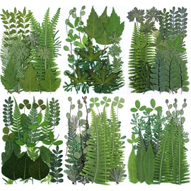 干花;鲜花花艺制品