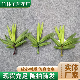 �S�����l����������֦�~�Ƶ껨�@�b����ƴ�ӾGֲ��ֲ��������֦