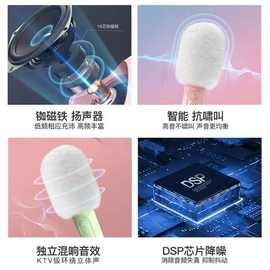 适用索爱儿童话筒音响一体机无线麦克风K歌神器家庭ktv电视唱歌批