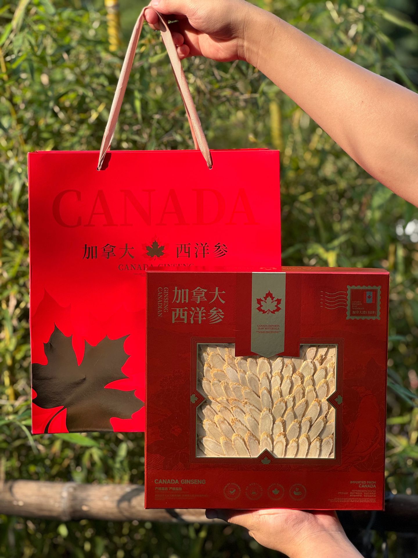 Canadian American Ginseng Slices Gift Box Large Slices 100g Dried Herbal Root for Soup and Tea quality and texture