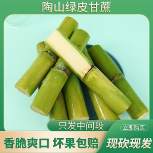 �����ᮔ������GƤ��ɽ���r��Ƥ����ˮ��������ɽ����S���]