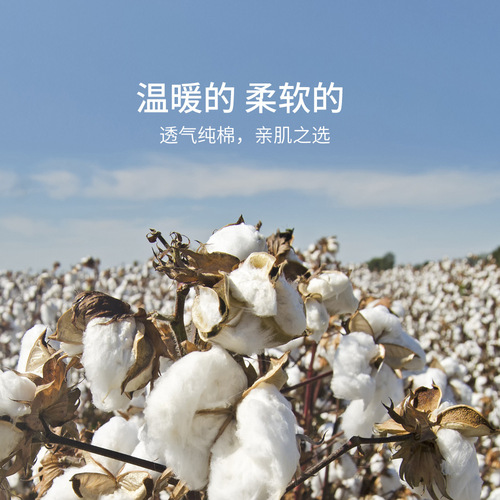 Student pure cotton autumn pants women's inner wear thin spring and autumn warm pants high waist women's new slim fit factory wholesale