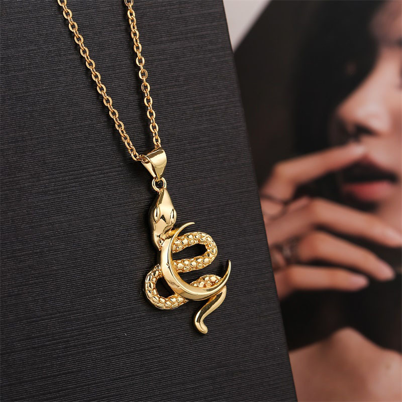 Copper Zodiac Snake Moon Necklace display picture 3