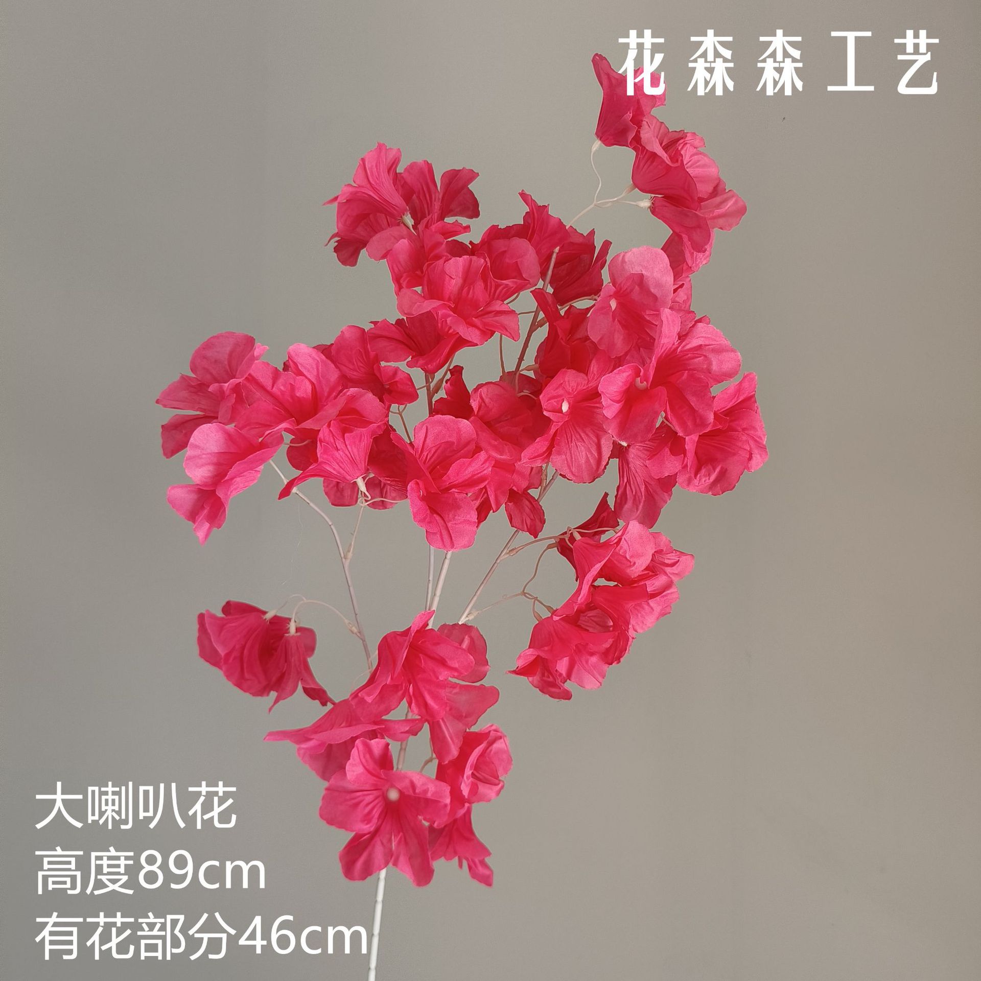 큰 트럼펫 꽃 134941