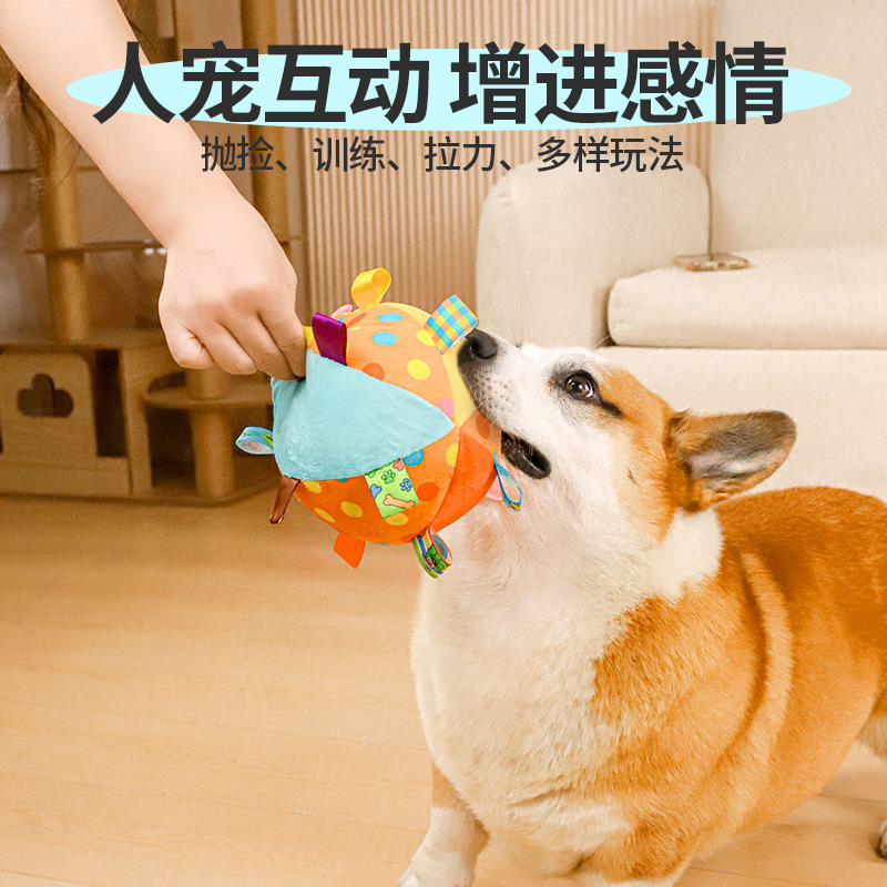 犬の音のおもちゃのボールのペットは噛んで体力を消耗します。|undefined
