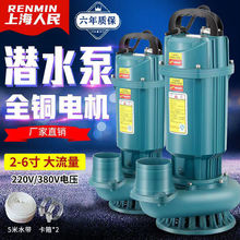 �Ϻ�����ˮ��220V380V��ˮ���r�ù�ȱü��ô������ߓP�̳�ˮ��