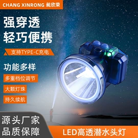 头灯头戴电筒;手电筒;提灯