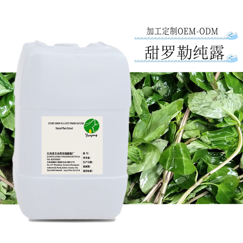 甜罗勒纯露 天然植物提取甜罗勒提取液 面膜化妆水原料