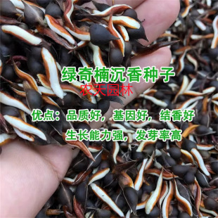 ��骳���С�����������骳���N�����F��N����骾G��骰lѿ�ʸ�