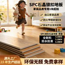 SPC ʯ�����۵ذ�5mm��ľ�� ��װ�Ƶ���ĥ���� PVC ʯ������ʽ