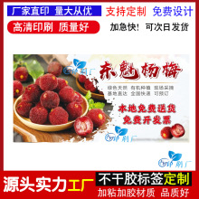 �����OӋ�ɾӗ�÷�N���|����÷�̘˘˺�܇���Ӵ����ˮ���̘��Nӡ