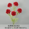 Echinacea - red