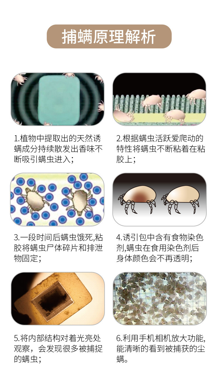 捕螨垫_11.jpg