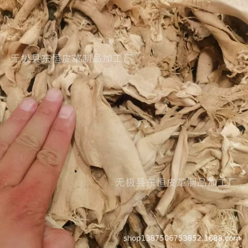 河北皮厂 羊皮块 酸皮块 羊皮边角料 的蛋白原材料 羊皮酸块