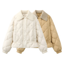 F؛ 2025¿ŮrК|񉺾ƴIq3J4K221