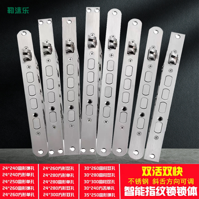 Smart Fingerprint Lock Body, King Lock Cylinder Accessories, Anti-Jamming, Panpan, Wangli Lock System, Silent Fake Hook, for Home Entrance Door