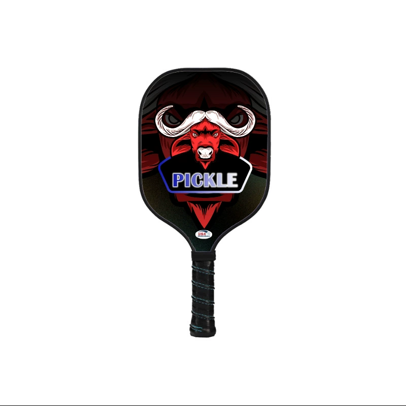 Pickleball pickle racket заводская ракетка для маринования, полный комплект, оптовые ракетки для маринования, детский горячий стиль