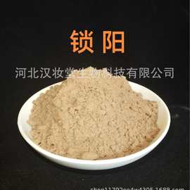 锁阳粉正品中药粉专业中药材超微粉加工中草药配方磨粉超低温磨粉