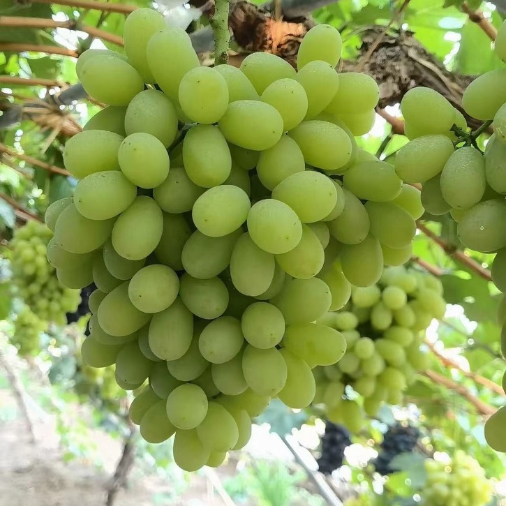 2024-08-04 20:25:51.jpg